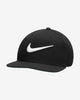 Nike Nepal Logo