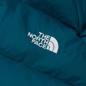 THE NORTH FACE M HYDRENALITE DOWN HOODIE