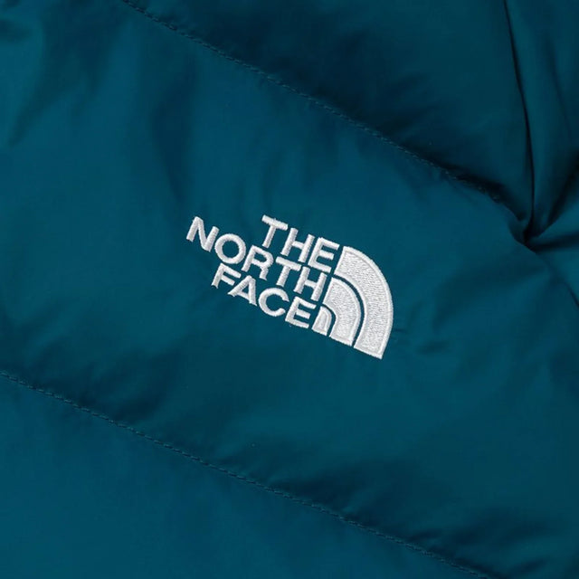 THE NORTH FACE M HYDRENALITE DOWN HOODIE